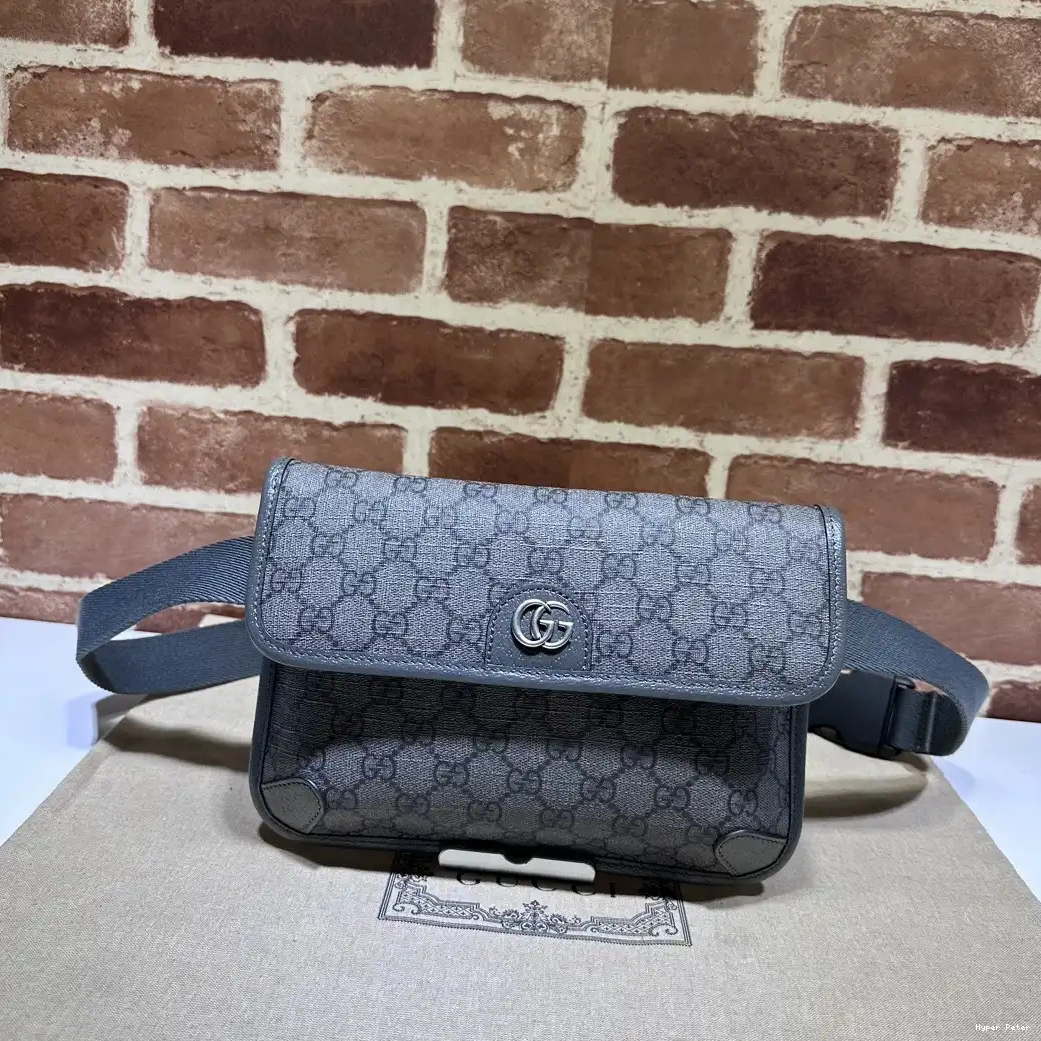 Hyperpeter GG GUCCI OPHIDIA BELT SMALL BAG 0629
